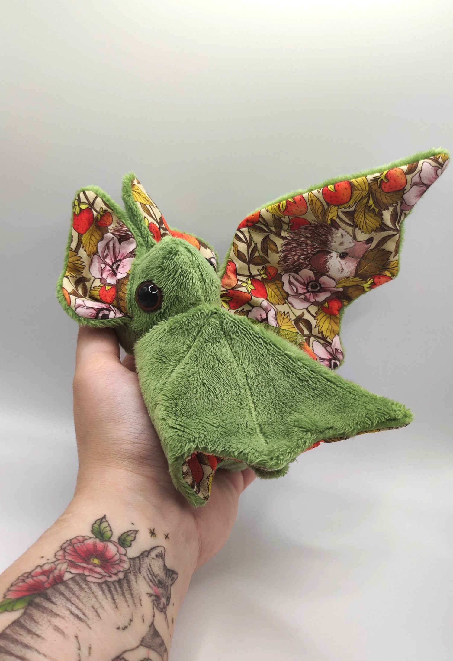 Chauve-souris / Bats