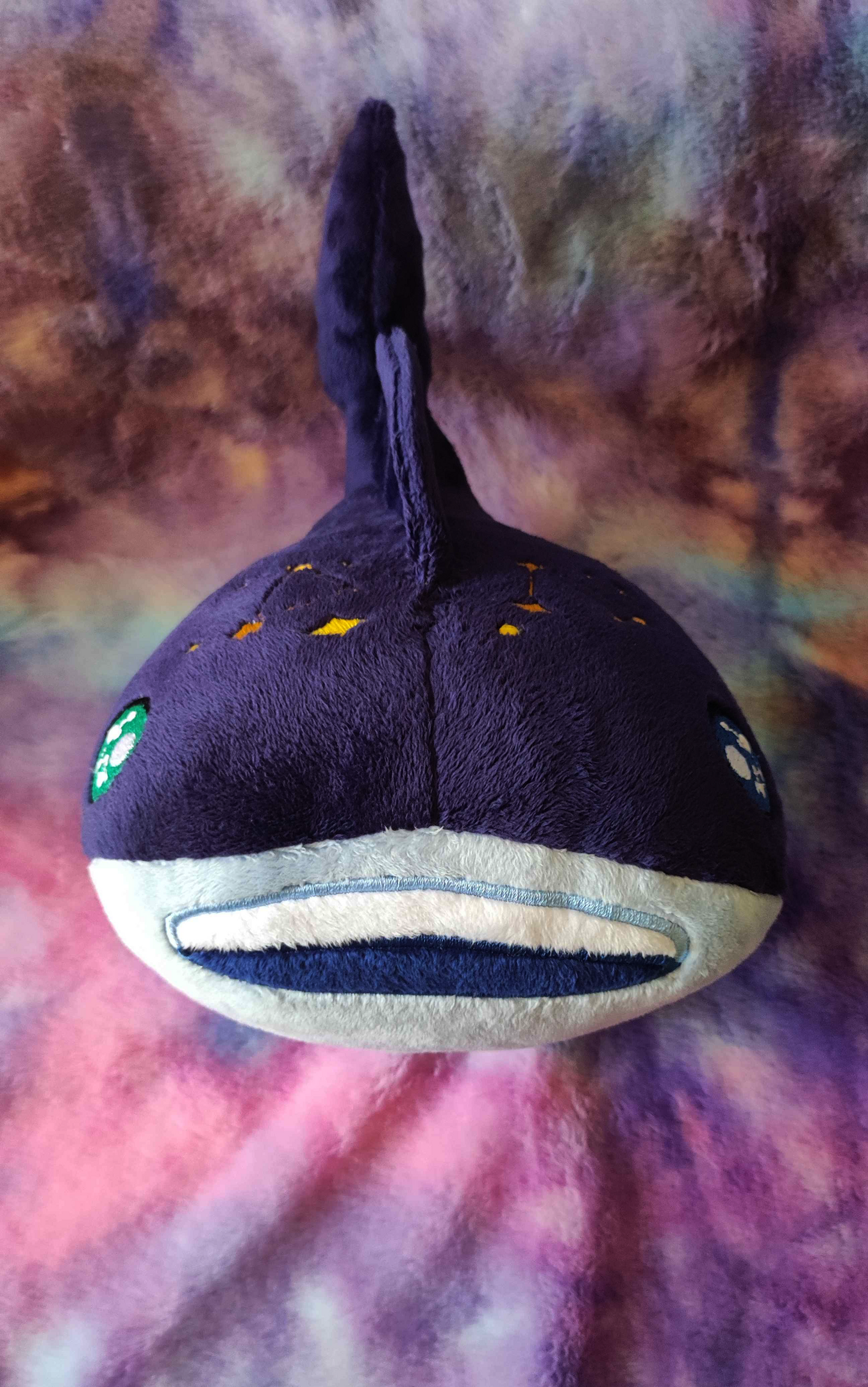 Requin-baleine stellaire indigo