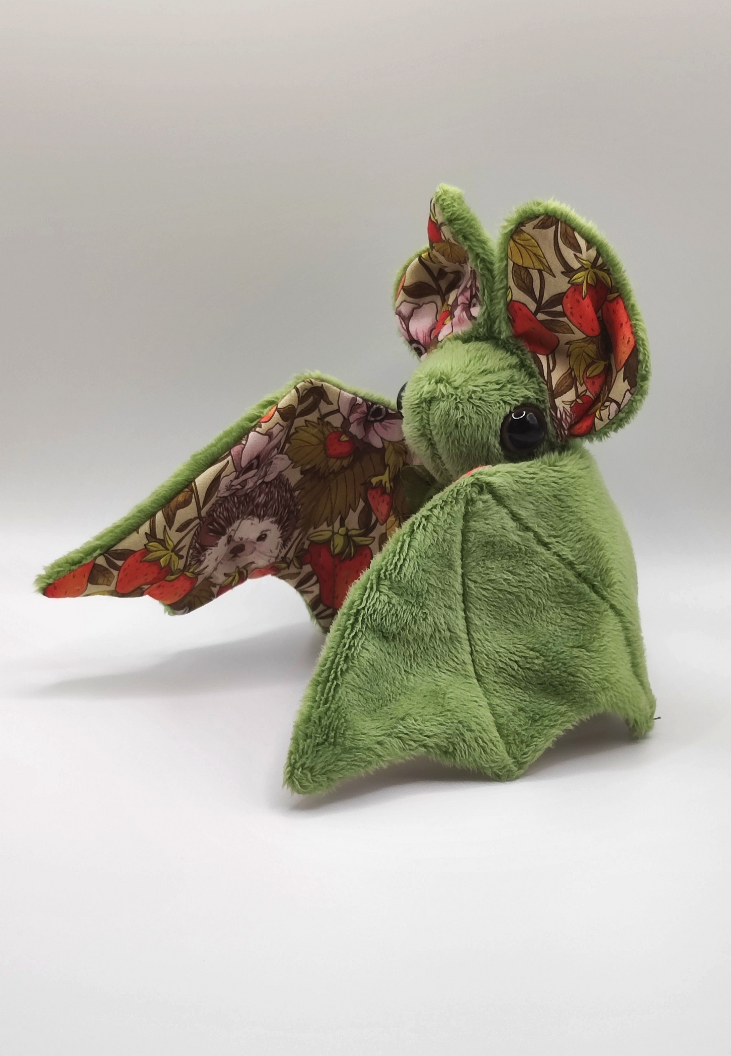 Hérisson fraise - Chauve-souris verte moyenne