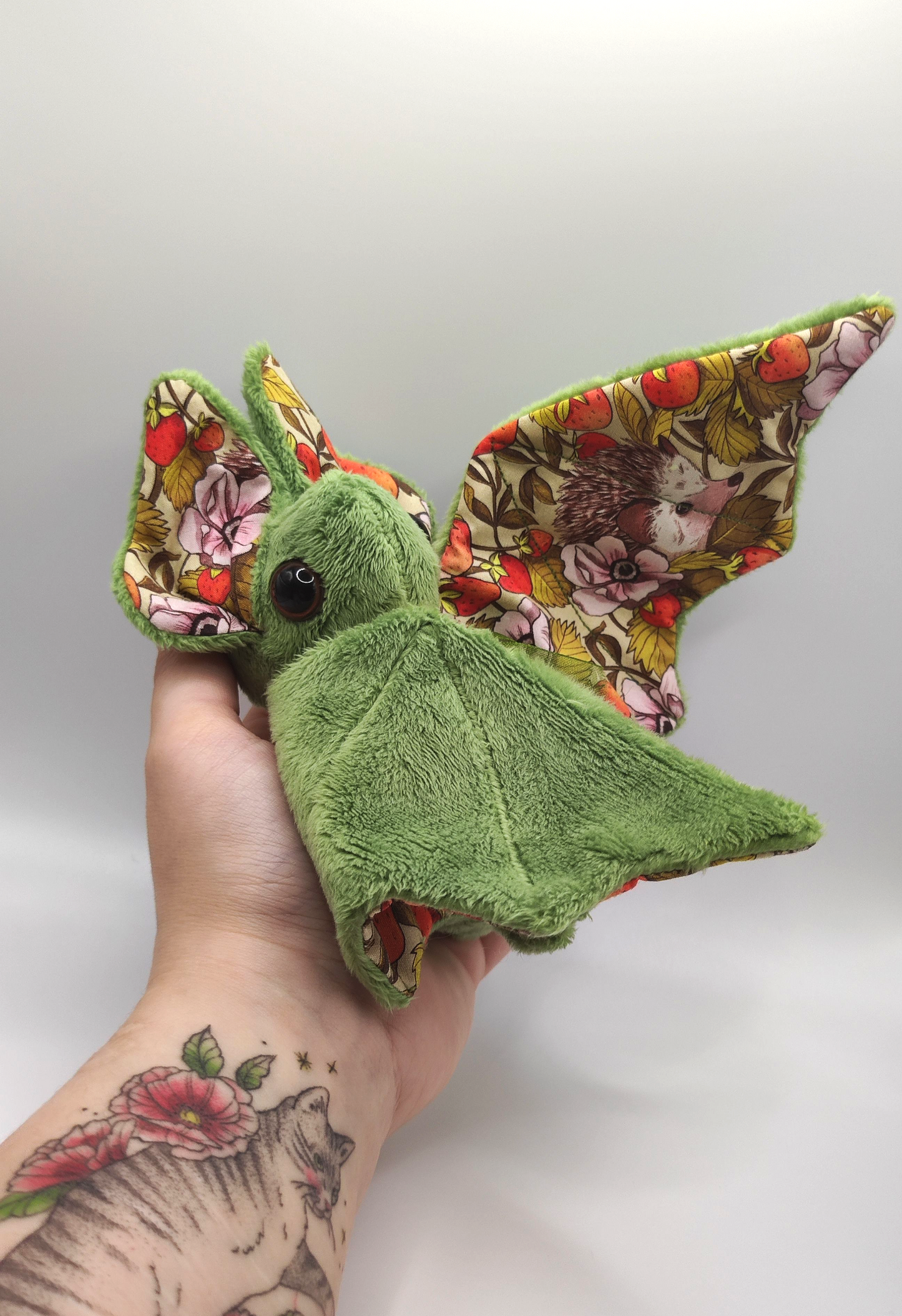 Hérisson fraise - Chauve-souris verte moyenne