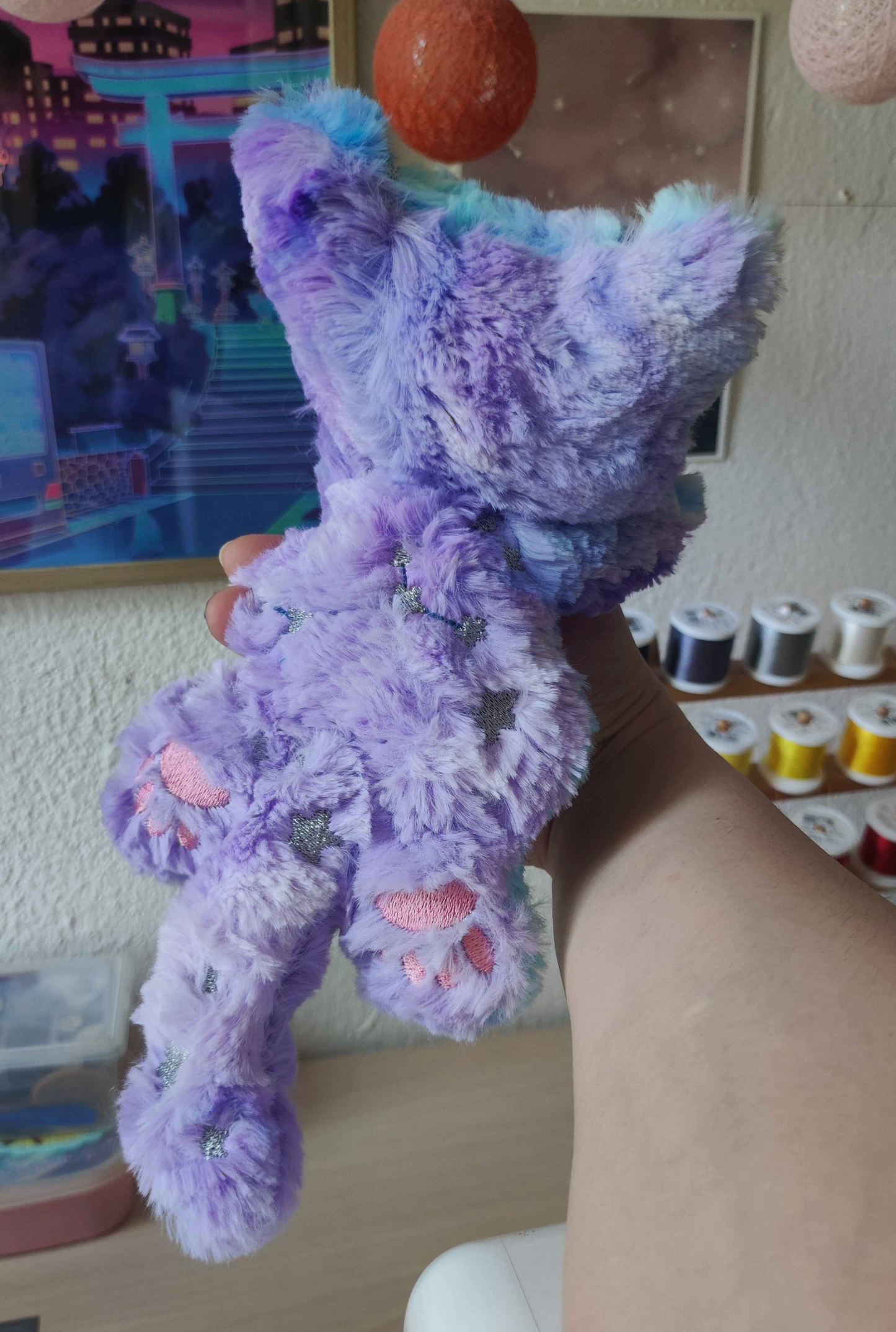 Chaton Galaxia M - fluffy