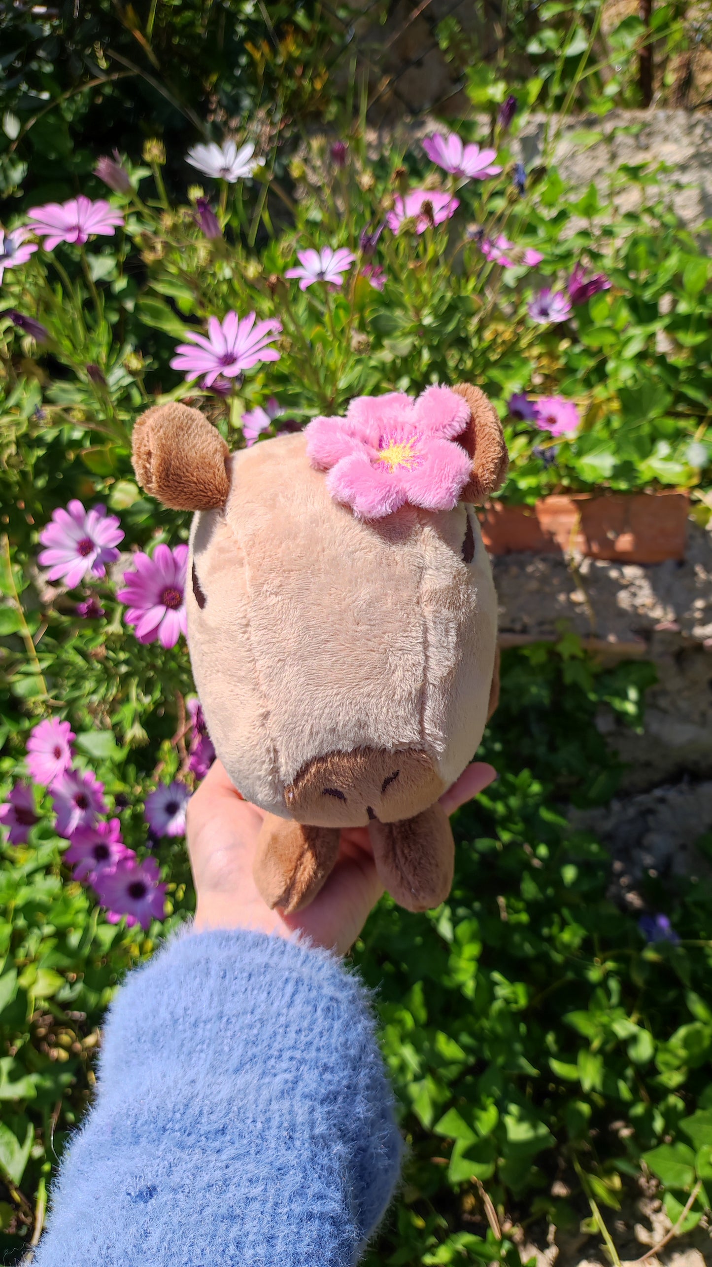 Daphne - Flower Capybara