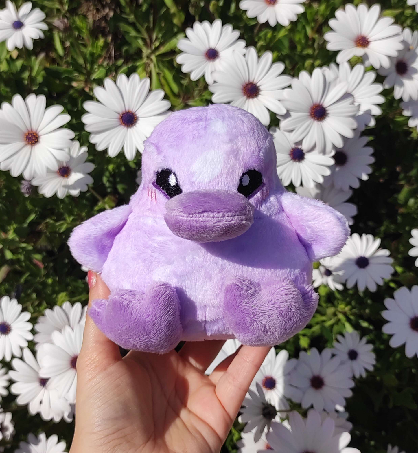 Amethyst Cherry Blossoms Duckling