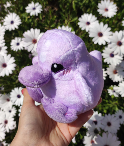 Amethyst Cherry Blossoms Duckling