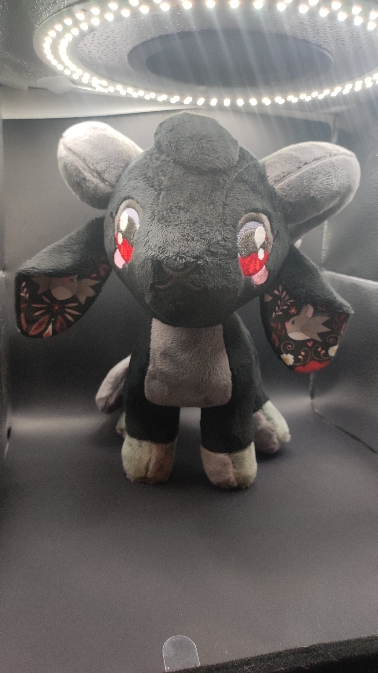 Chèvre Ténébreuse